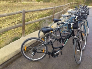 un tipo di bici 